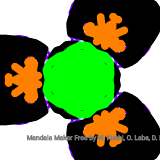 Mandala (269/4389)